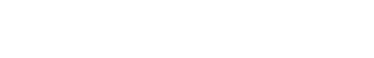 Zylivo Logo